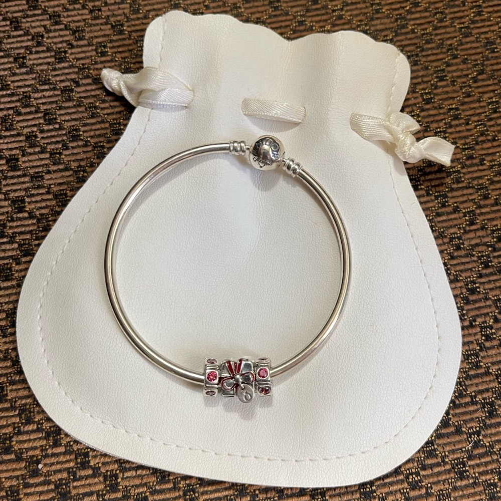 Pandora Limited Edition Bracelet Set (Bracelet & 3 Pandora Charms)